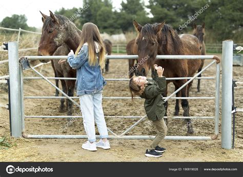 suce un cheval|Un chien se soulage dans la bouche de sa maîtresse qui lui .